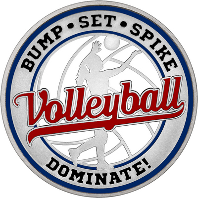 Maroon "Volleyball" with Navy Blue Outer Circular Borders